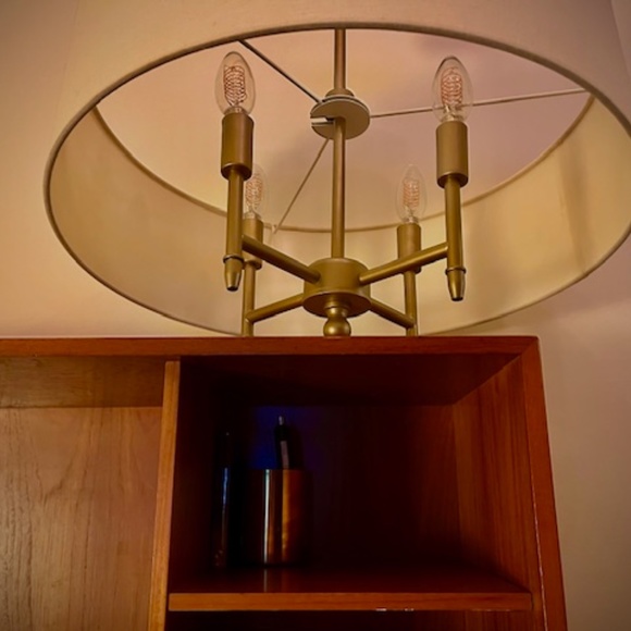 Elegant Hampton Hill Transitional Drum Shade and Matte Gold Chandelier - Picture 3 of 4